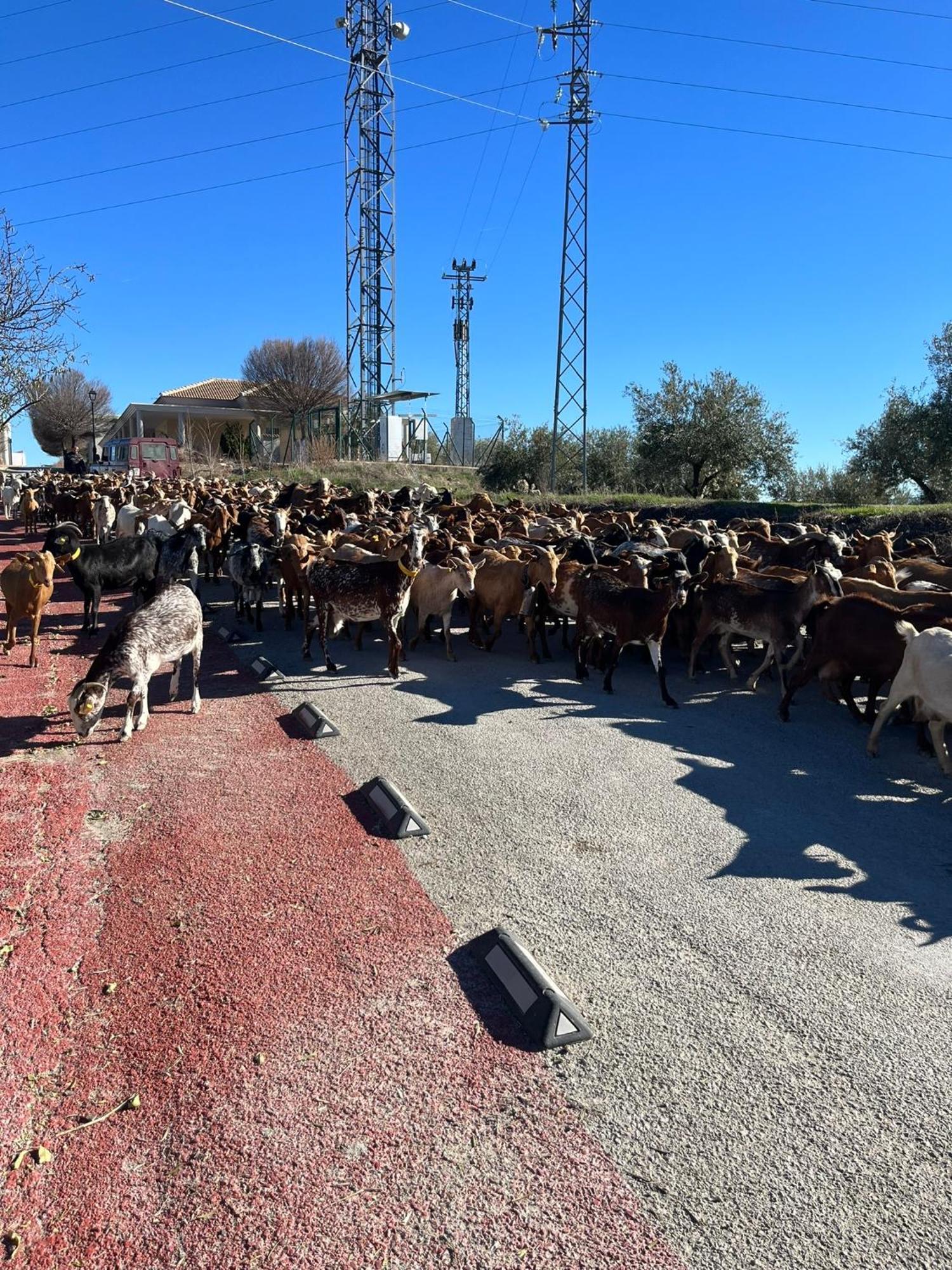 Alojamiento Turistico Noalejo Dış mekan fotoğraf